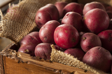 Canvas Print - Organic Raw Red Potatoes