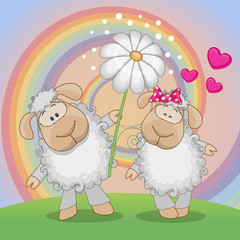 Two Sheep