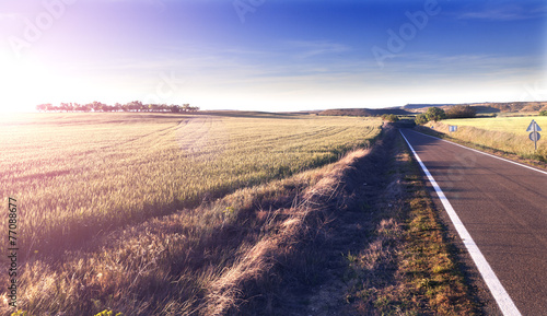 Cuadros en Lienzo Aventuras por carretera.Camino y campos.Concepto de viaje.