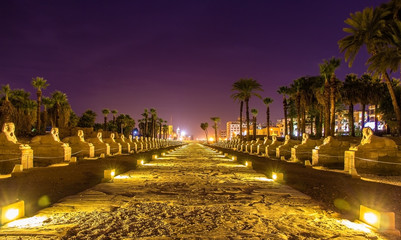 Alley of the Sphinxes in Luxor - Egypt