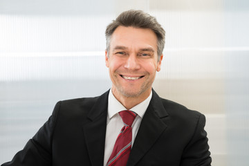 Smiling Mature Businessman