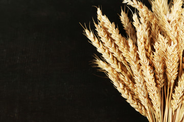 Canvas Print - Spikelets of wheat on black wooden background