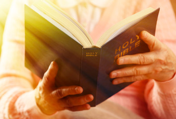 Wall Mural - Old woman reading Bible, closeup