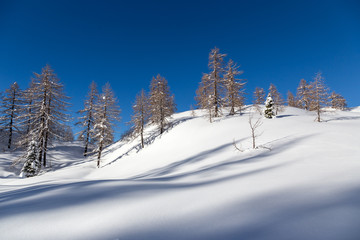 Canvas Print - Winter landscape