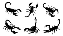 Scorpion Silhouettes