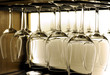 © bibiphoto - wine glasses in the bar