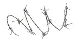 Fototapeta  - Barbed wire isolated on a white background