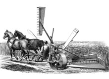 19th Century Engraving Of A Burgess And Key's Reaper