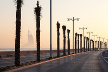 Palm Trees Alley At The Palm Jumeirah, Dubai, UAE