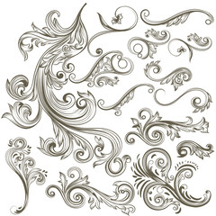 Wall Mural - collection of vector hand drawn floral swirls for design