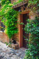 Wall Mural - Entrance to the old Italian house and the cat