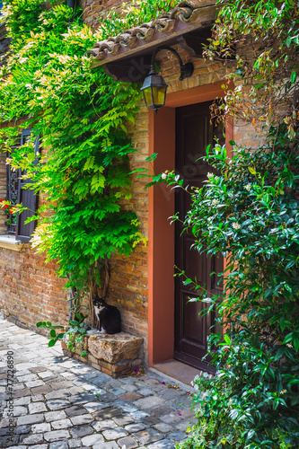 Fototapeta na wymiar Entrance to the old Italian house and the cat