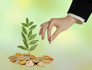 Investing to green business