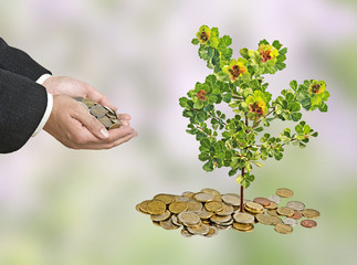 Investing to green business