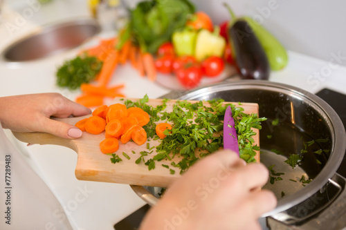 Fotografie, Obraz Close up vegetables on the wooden board