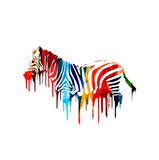 Fototapeta Zebra - Colorful vector zebra