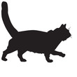 silhouette of a black cat-ill