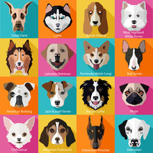 Set Of Flat Popular Breeds Of Dogs Icons.