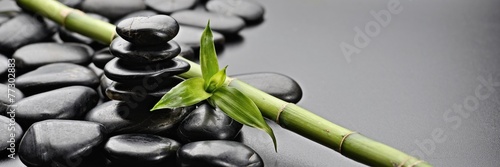 czarne-kamienie-zen-z-zielona-lodyga-bambusa