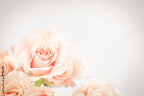 Nowoczesny obraz na płótnie Peach rose cluster with vignette