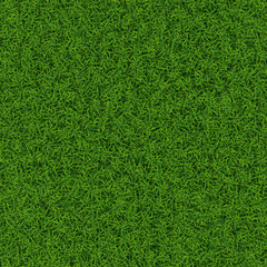 Wall Mural - Green grass seamless background texture, vector illustration.