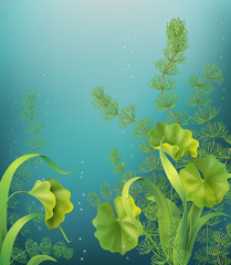 Underwater background