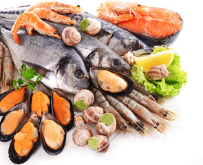 Wall Mural - Fresh fish and other seafood isolated on white