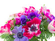 bouquet of anemone flowers