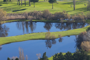 Canvas Print - Golf