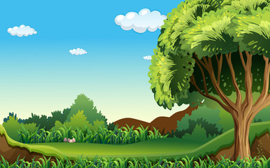 Wall Mural - A green environment