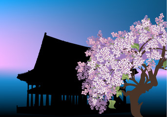 Wall Mural - blossoming tree near pagoda at sunset