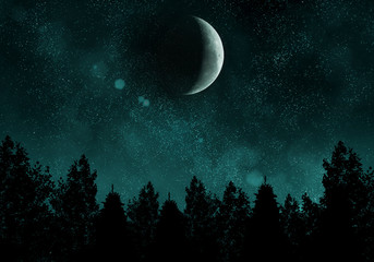 Wall Mural - Starry night with forest and moon