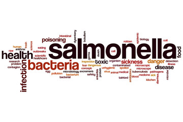 Sticker - Salmonella word cloud