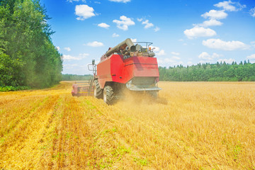 combine harvester working on wheat field rear view