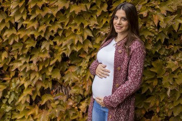 Wall Mural - Young pregnant woman in the autumn park