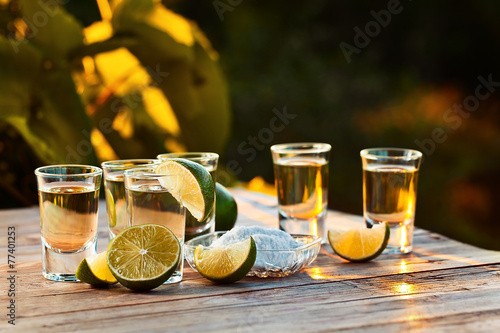 Cuadros en Lienzo gold tequila with salt and lime