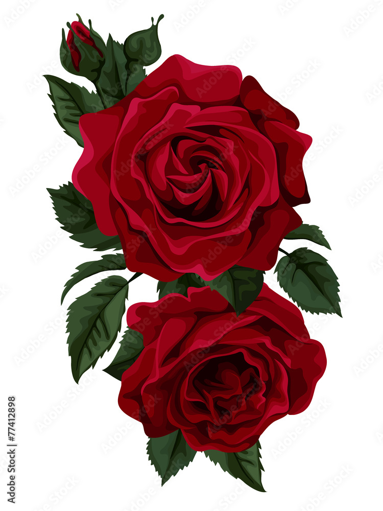 Beautiful bouquet of roses isolated on white. - obrazy, fototapety, plakaty 