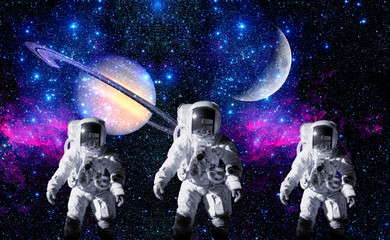 Wall Mural - Astronauts Space Planet Moon