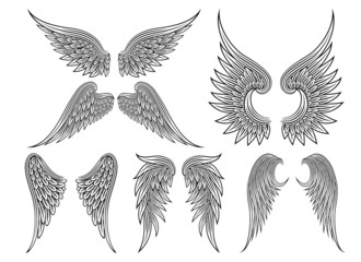 Poster - Vector heraldic wings or angel