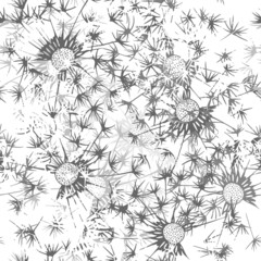 Seamless pattern of dandelion . Hand-drawn floral background. Mo