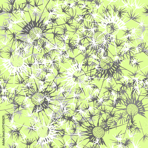 Fototapeta do kuchni Seamless pattern of dandelion . Hand-drawn floral background, v