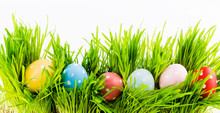 Colorful Easter Eggs In A Row On Green Grass