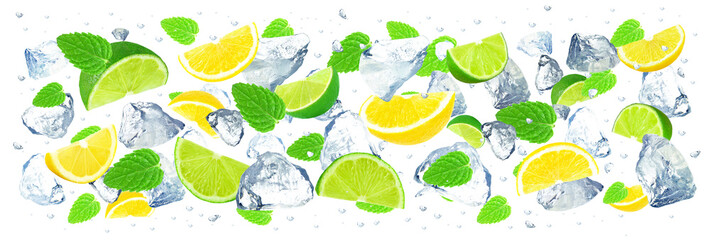 Wall Mural - citrus and ice