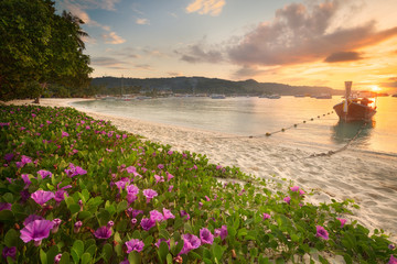 Beautiful beach with colorful flowers and boat