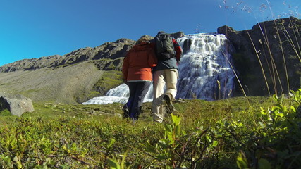 Wall Mural - Waterfall Dynjandifoss