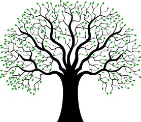 Wall Mural - Green tree illustration