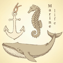 Sketch Seahorse, Whale And Anchor In Vintage Style