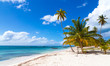 Strand in Saona Dominikanische Republik