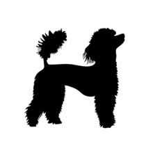 French Poodle Silhouette