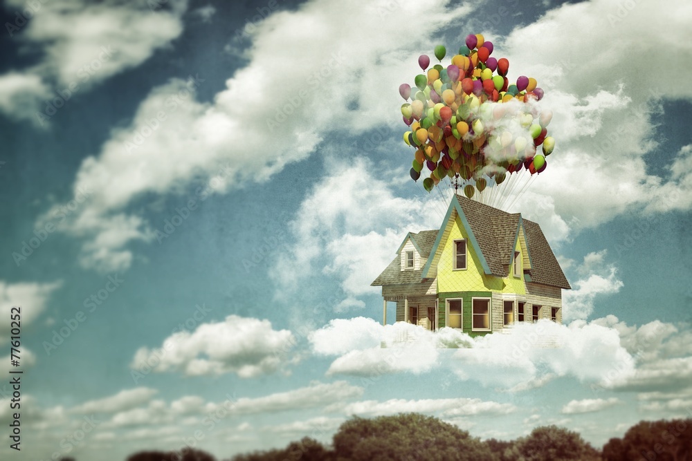 Fotografie, Tablou flying house